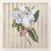  Magnolia-ventilator op strepes Glazen Onderzetter (Voorkant)