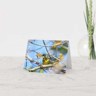 Magnolia Warbler - Blank Note Kaart