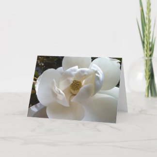Magnolia Wenskaart Kaart