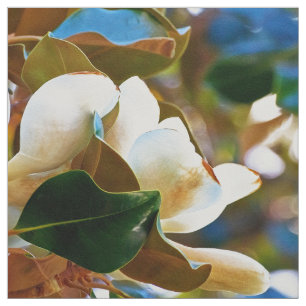 Magnolia White Flowers Stof