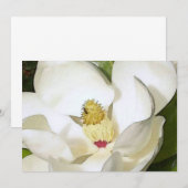 Magnolia White Invitation - Invitations Art Floral (Devant / Derrière)