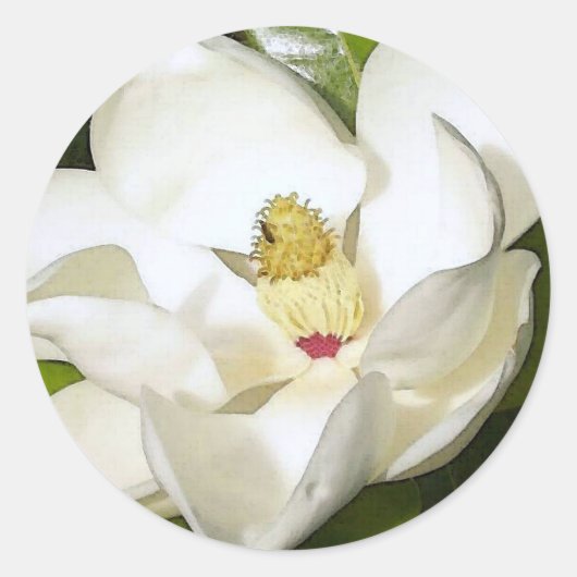 Magnolia White Ronde Sticker (Voorkant)