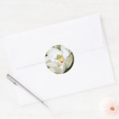 Magnolia White Ronde Sticker (Envelop)