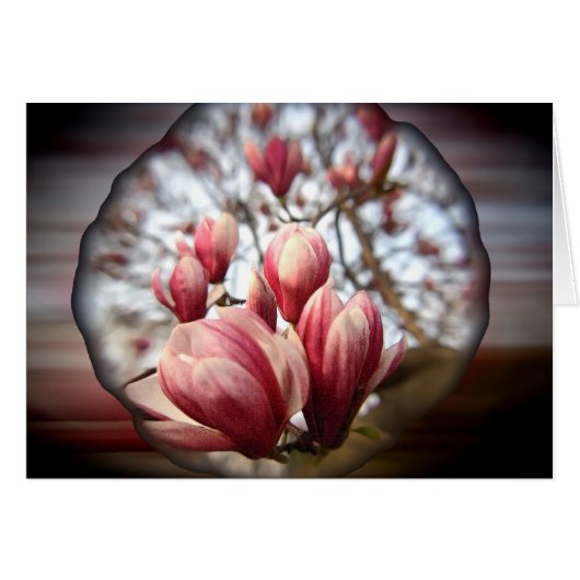Magnolia Wood (Devant horizontal)