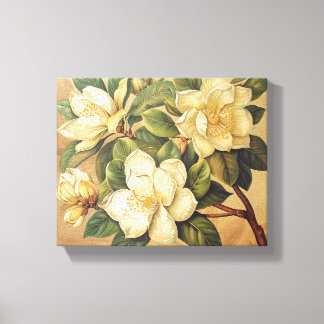 Magnolias Élégants en Fleurs - Art Mural