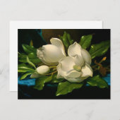 Magnolias géant sur une carte postale en velours b (Devant / Derrière)