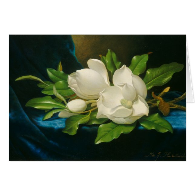 Magnolias géantes sur un tissu de velours bleu, ve (Devant horizontal)