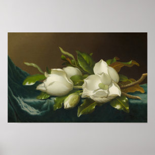 Magnolia's op lichtblauwe fluweel, beroemd schilde poster