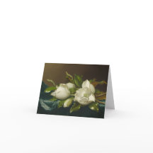 Magnoliebloem