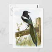 Magpie Briefkaart (Voorkant / Achterkant)