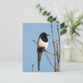 Magpie Briefkaart (Staand voorkant)