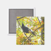 Magpie d'automne - Magnet (Recto/Verso)