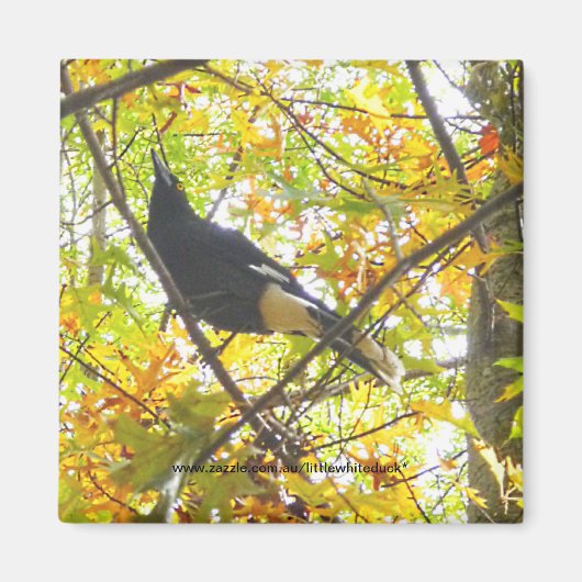 Magpie d'automne - Magnet (Devant)