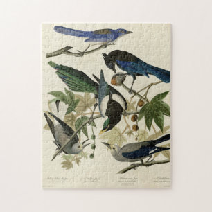 Magpie Jays & Nutkraker Audubon Birds of America Legpuzzel