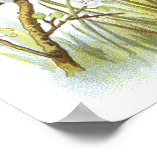 Magpie Poster (Hoek)