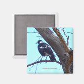 Magpie sur une branche - Magnet (Recto/Verso)