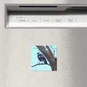 Magpie sur une branche - Magnet (In Situ (Lave-vaisselle))