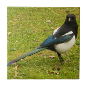 Magpie Tile Tegeltje