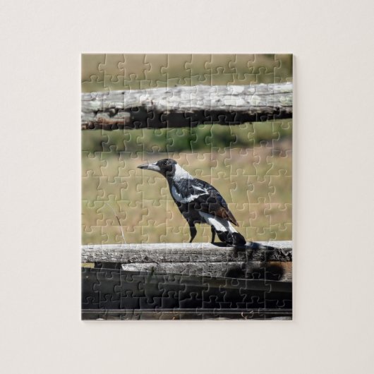 MAGPIE VOOR FENCE PLRAL QUEENSLAND AUSTRALIË LEGPUZZEL (Verticaal)
