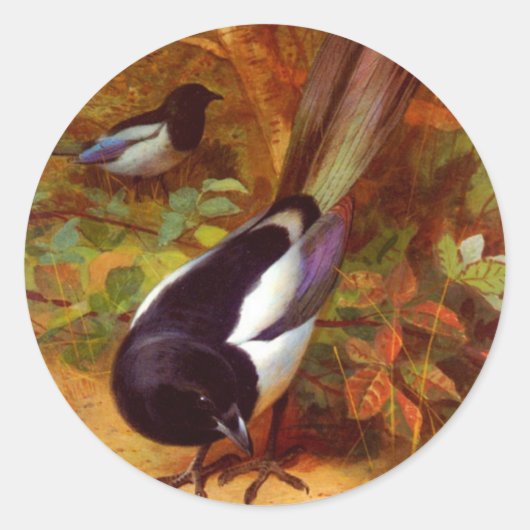 Magpies Ronde Sticker (Voorkant)