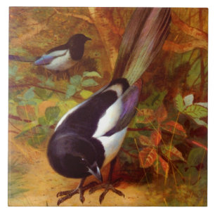 Magpies Tegeltje