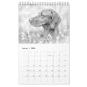 Magyar Vizsla Chiens Calendrier noir et blanc (Jan 2026)