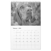 Magyar Vizsla Chiens Calendrier noir et blanc (Feb 2026)