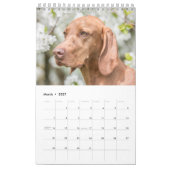 Magyar Vizsla de chiens calendriers (Mar 2027)