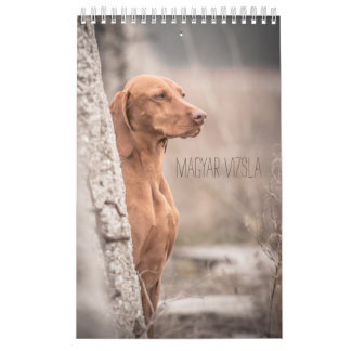 Magyar Vizsla de chiens calendriers
