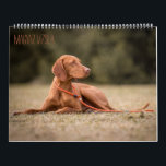 Magyar Vizsla de chiens calendriers<br><div class="desc">Magyar Vizsla de chiens calendriers</div>