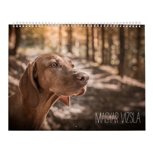 Magyar Vizsla Hunde Kalender (Hoes)