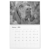 Magyar Vizsla Hunde Kalender black & white (Feb 2026)