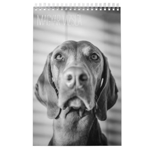 Magyar Vizsla Hunde Kalender black & white (Hoes)