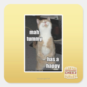Mah tummy is blij vierkante sticker