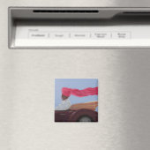 Maharajah at Speed Magneet (Insitu (Vaatwasser))