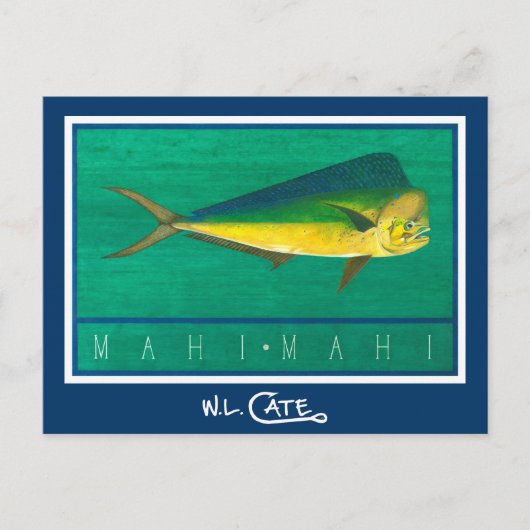 Mahi-Mahi-Briefkaarten Briefkaart (Voorkant)