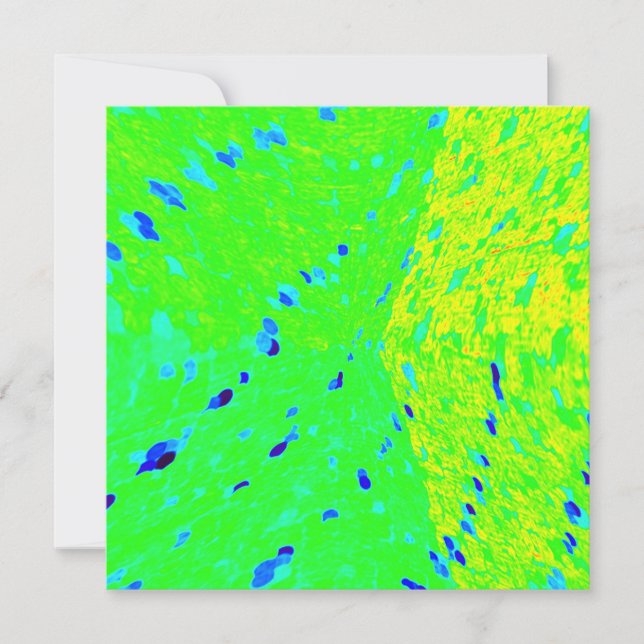 Mahi Mahi Dolphin Fish Art Colors (Voorkant)