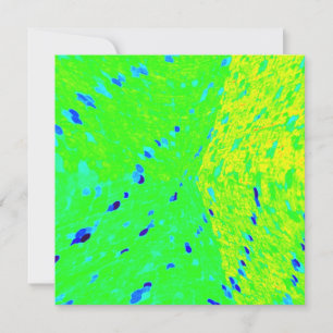 Mahi Mahi Dolphin Fish Art Colors