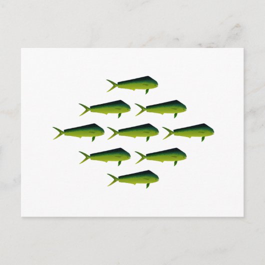 Mahi Mahi Fish - Dolphin - Dorado Briefkaart (Voorkant)