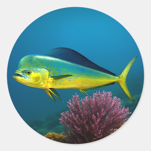 Mahi-Mahi Majesty Ronde Sticker (Voorkant)