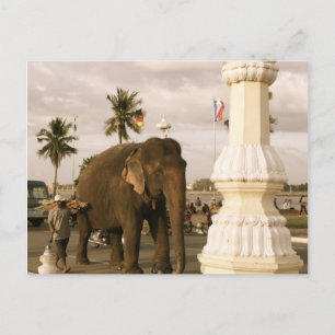 Mahout en Elephant Briefkaart