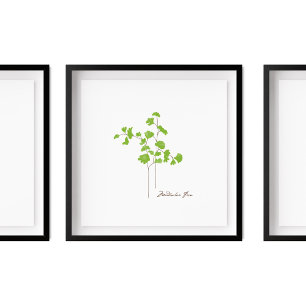 Maidenhair Fern Illustratie   Serie Fern Poster