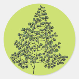 Maidenhair Fern Ronde Sticker
