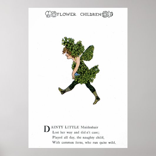 Maidenhair Poster (Voorkant)