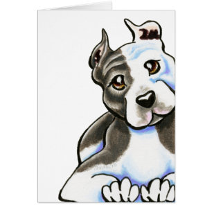 Maigre d'Amstaff sur moi