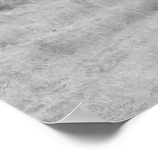 Mail Pouch Barn Poster (Hoek)