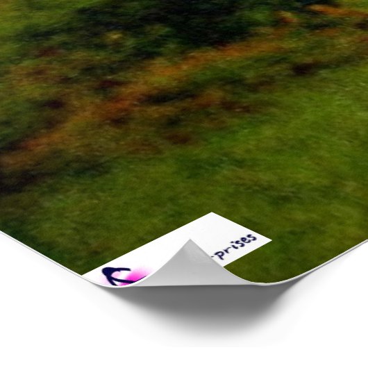 Mail Pouch Barn Poster (Hoek)