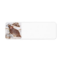 Mailbox Molly Étiquette