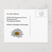 Mailbox rural en Daisy Briefkaart (Achterkant)