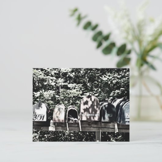 Mailboxes on the Vineyard Briefkaart (Staand voorkant)